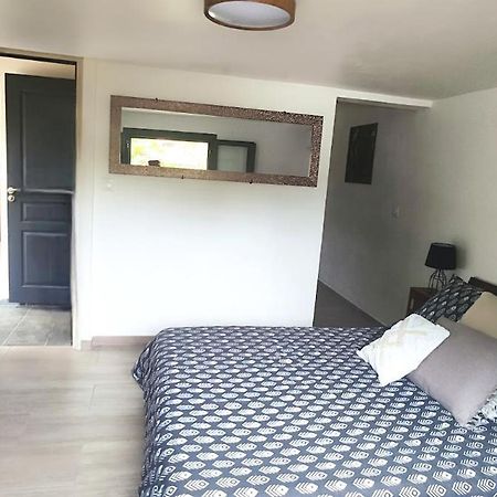 Tiny House Les Cactus - Bungalow St Gilles Les Hauts Saint-Paul Екстер'єр фото