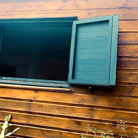 Tiny House Les Cactus - Bungalow St Gilles Les Hauts Saint-Paul Екстер'єр фото